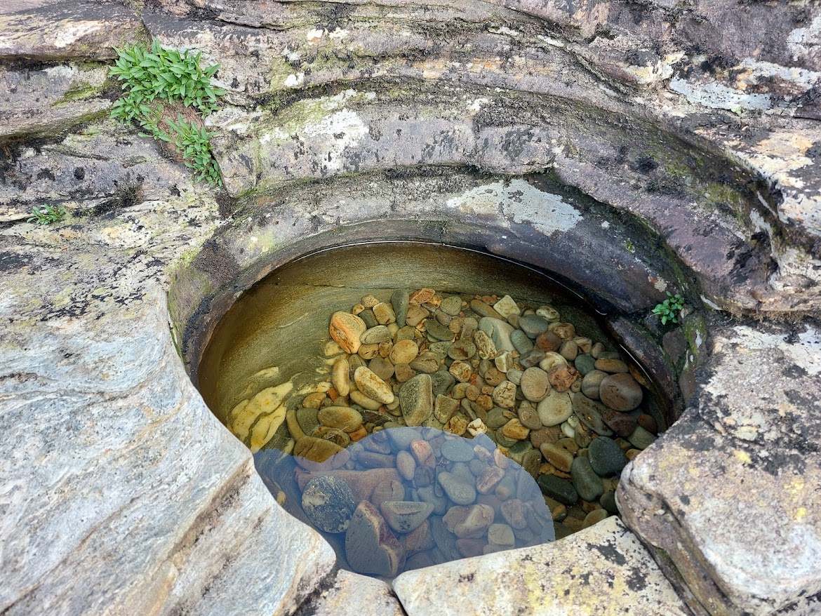 How can we relate to the ecological crises in a healthy way?