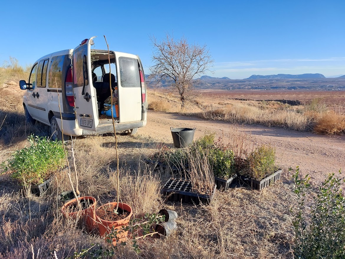 How can you learn to cooperate with nature?