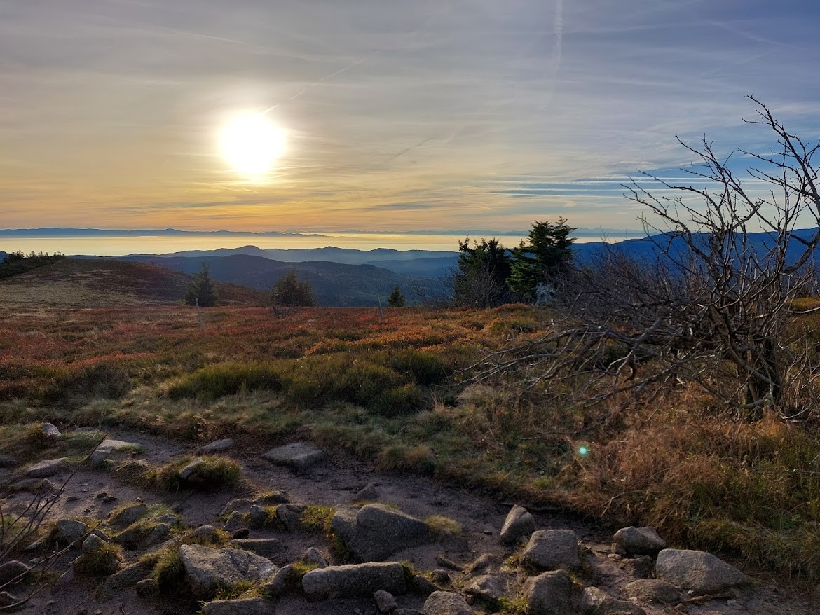 How can we repair our relation with our surroundings?