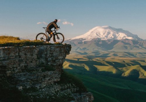 dmitrii-vaccinium-9qsK2QHidmg-unsplash